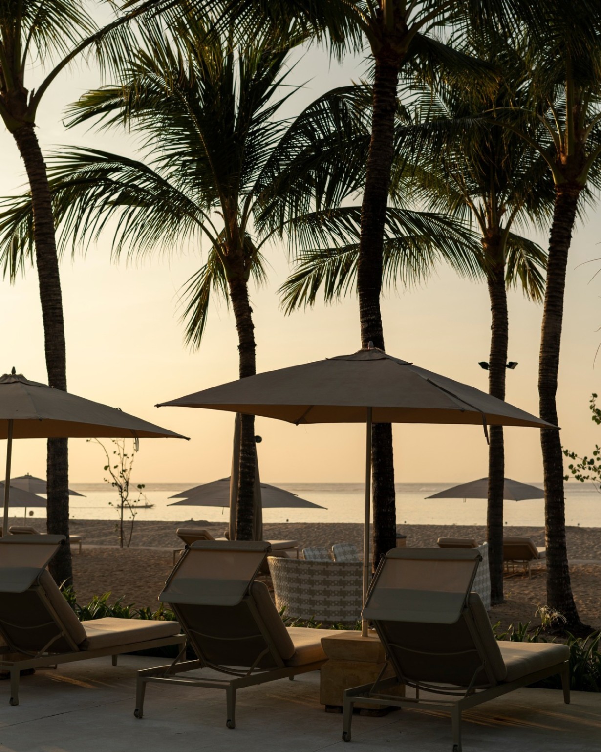 The Mulia — photo 4