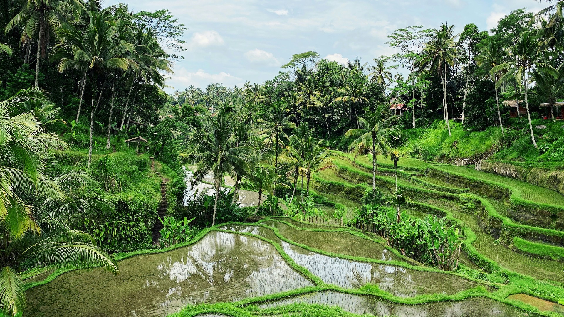Ubud