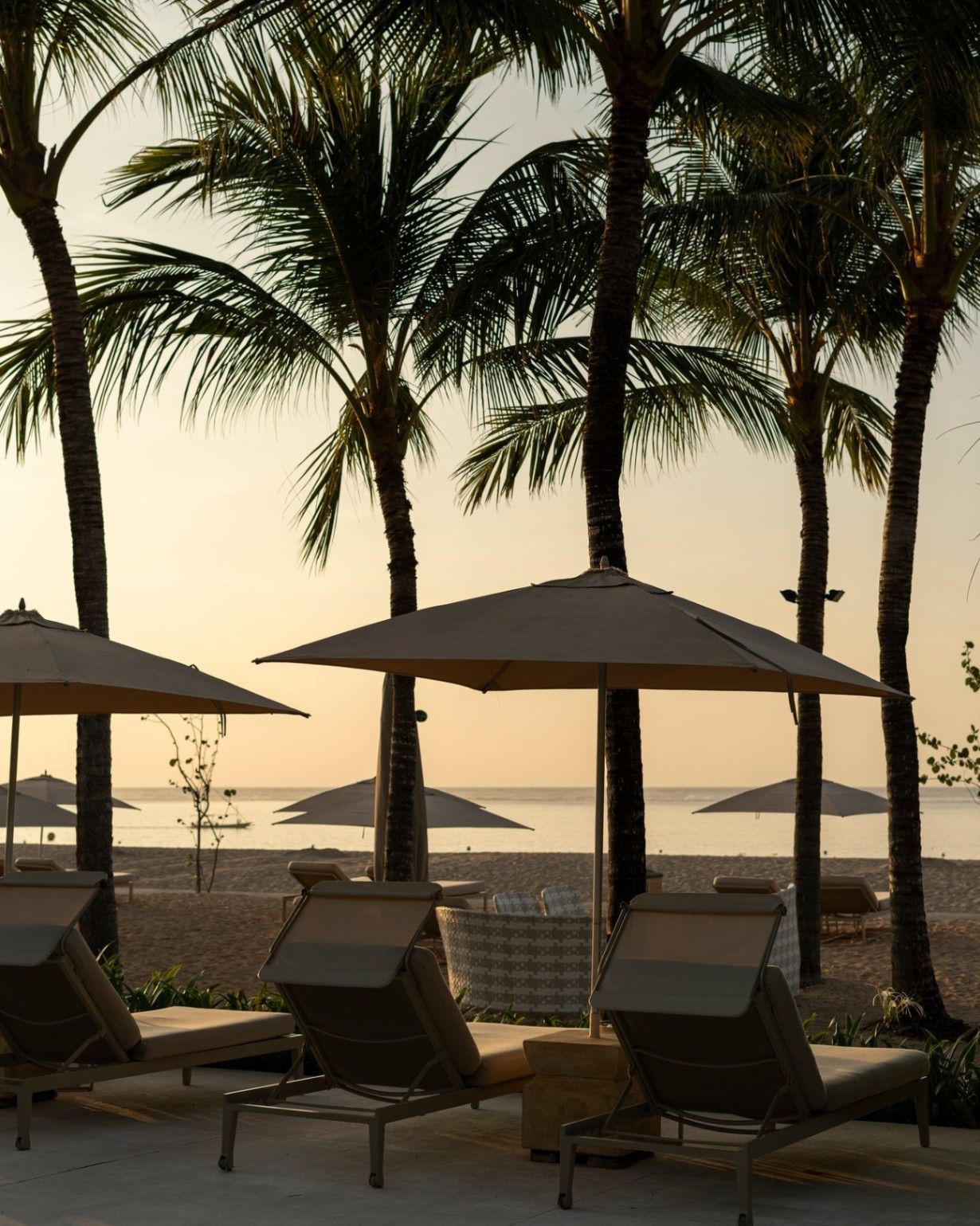The Mulia — photo 4