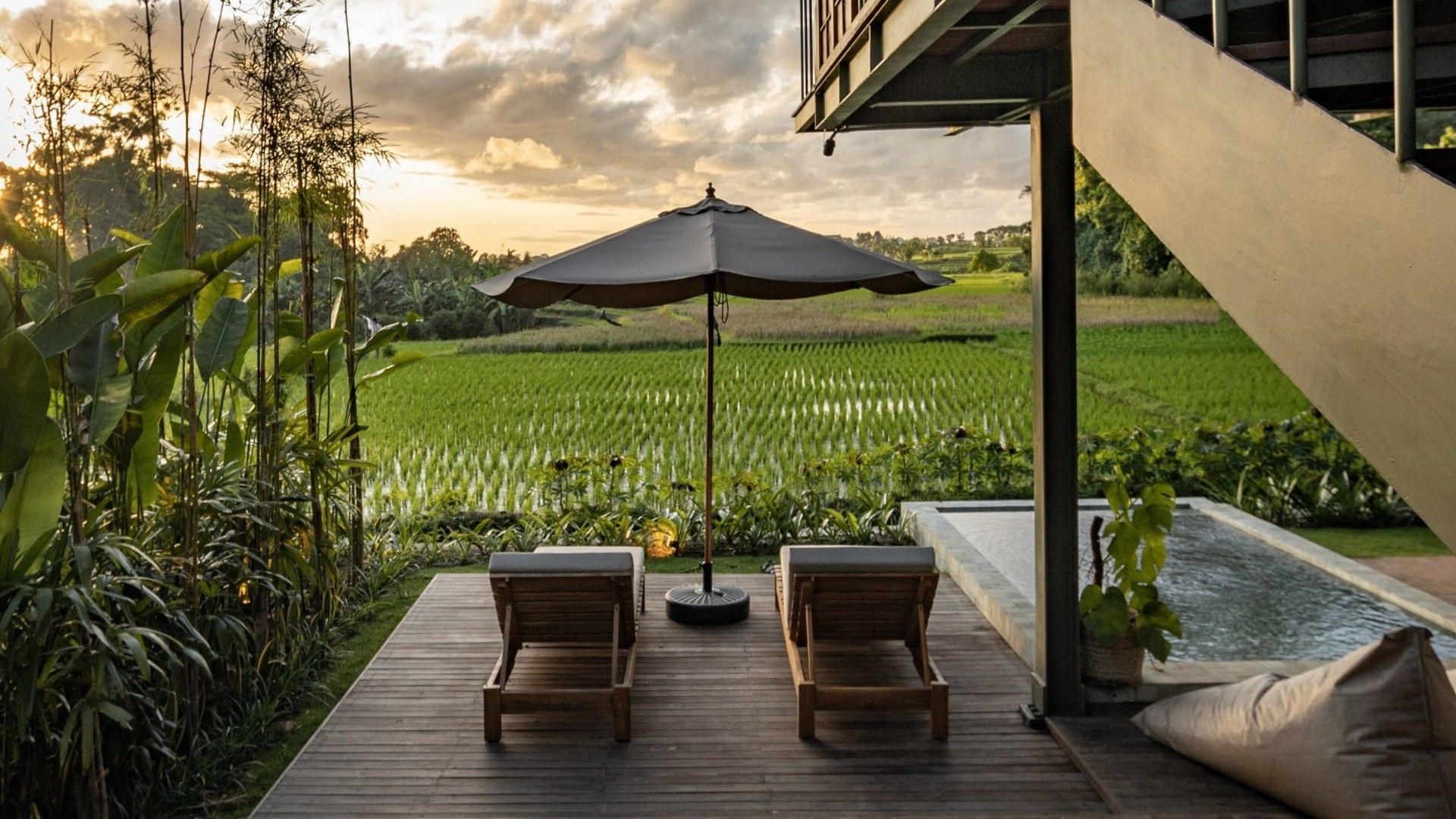 Grun Canggu