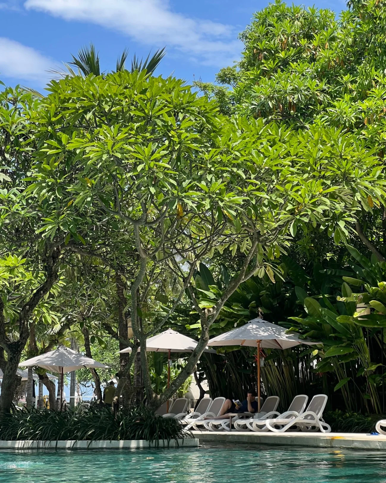 The Anvaya Beach Resort Hotel — photo 4