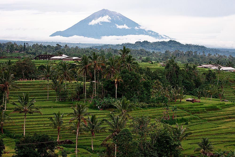Suarga Padang Padang — photo 6