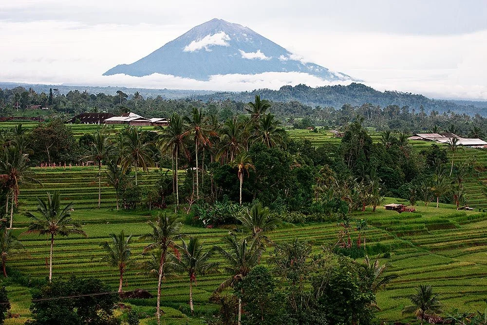 Suarga Padang Padang — photo 6